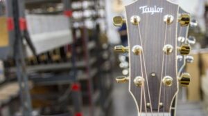 taylor guitars dealer belgium